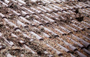 Illand roof cleaning companies